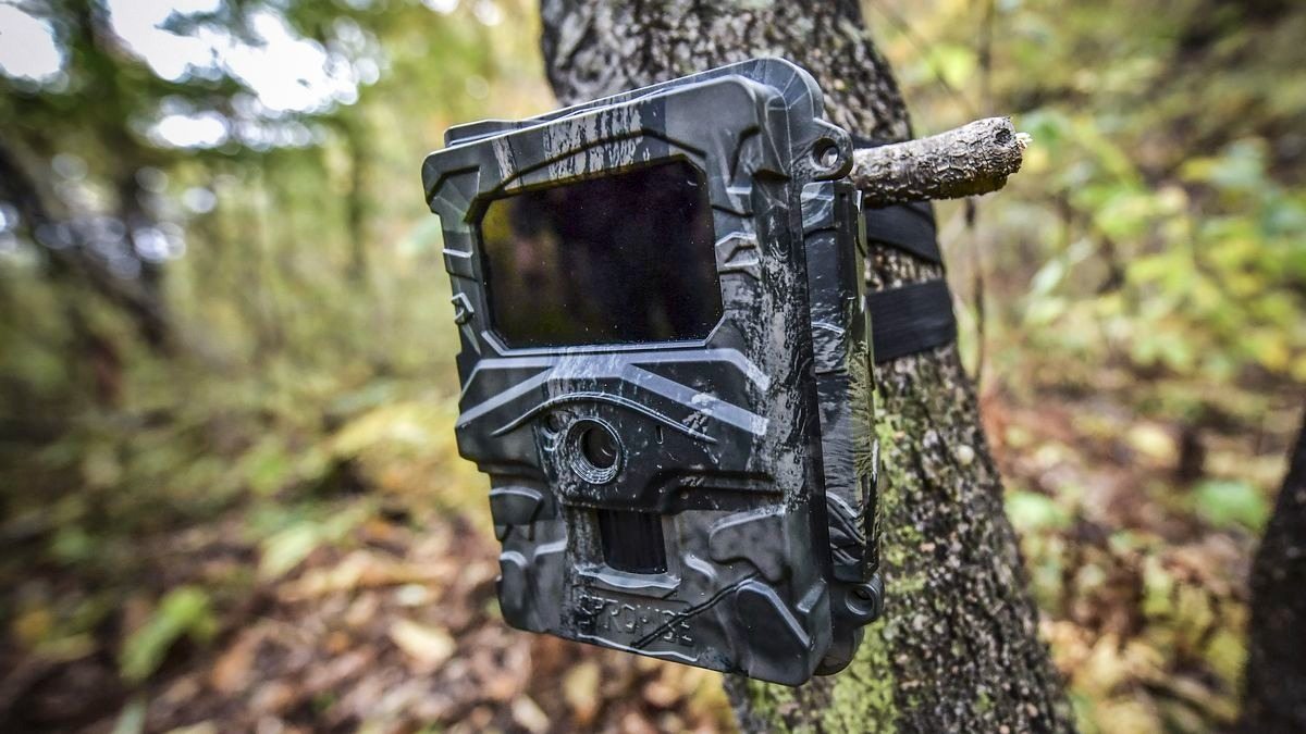 A Trail Camera Captures What No One Should See
