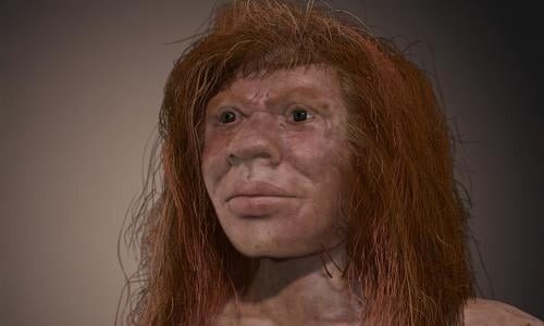 She Looks Human—But Her DNA Says Otherwise ➤ haberion.com