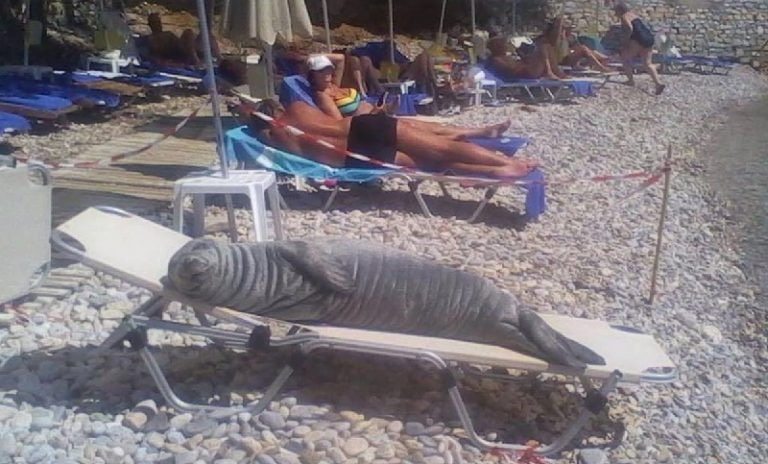 Ten unique photos from the beach that’ll make your day!