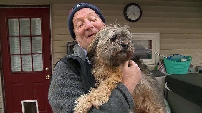 Çakal, Köpeğini Bahçeden Kaptı – Neler Olduğunu İzleyin