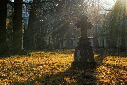 Rażące uchybienie: czego nie wolno robić podczas wizyty na cmentarzu