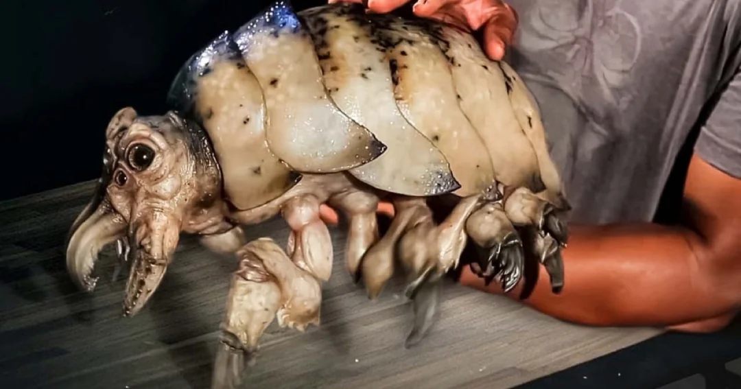 Dokuz yaşındaki bir kız ormanda bir kertenkele bulduğunu sandı. Veteriner hekim onu ​​görünce, “Aman Tanrım, uzak dur!” diye bağırdı