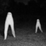 How the Fresno Nightcrawlers Became an Internet Legend ➤ haberion.com