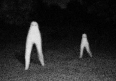 How the Fresno Nightcrawlers Became an Internet Legend ➤ haberion.com