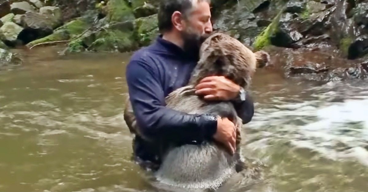 Voici ce que l’ours a fait à l’homme qui avait sauvé son ourson… personne ne s’y attendait !