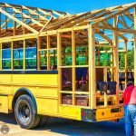 No one believed in her idea until they saw the result: an old school bus transformed into a dream home ➤ haberion.com