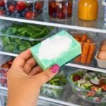 Why people put a sponge in the refrigerator: a simple life hack for keeping food fresh ➤ haberion.com