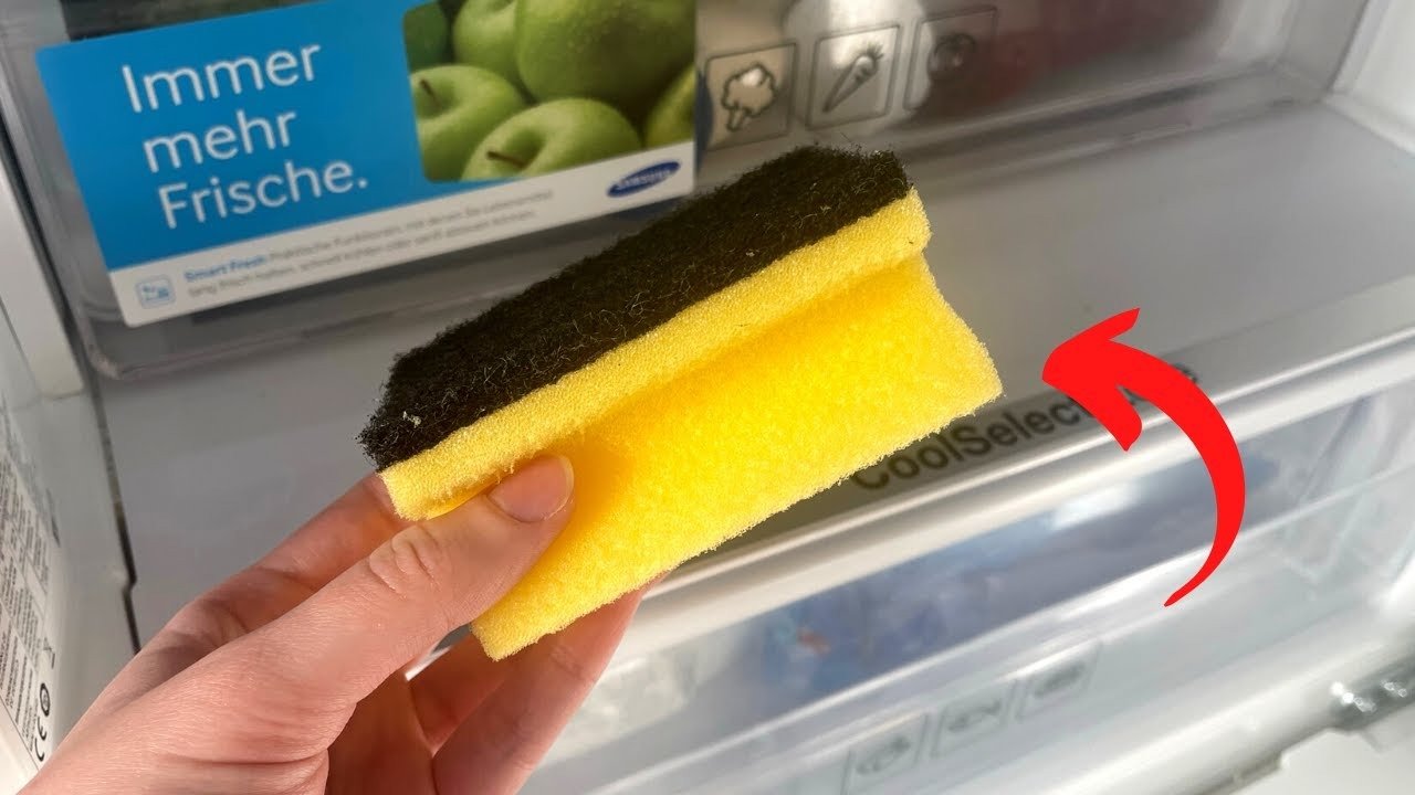 Why people put a sponge in the refrigerator: a simple life hack for keeping food fresh