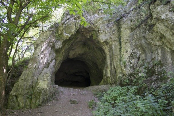 The voice from the cave wasn’t calling for help ➤ haberion.com