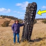 Mysterious Space Object Crashes on Sheep Farm, Farmer Turns Pale When He Realizes the Truth ➤ haberion.com