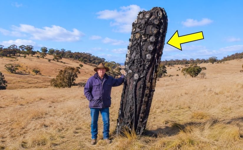 Mysterious Space Object Crashes on Sheep Farm, Farmer Turns Pale When He Realizes the Truth ➤ haberion.com