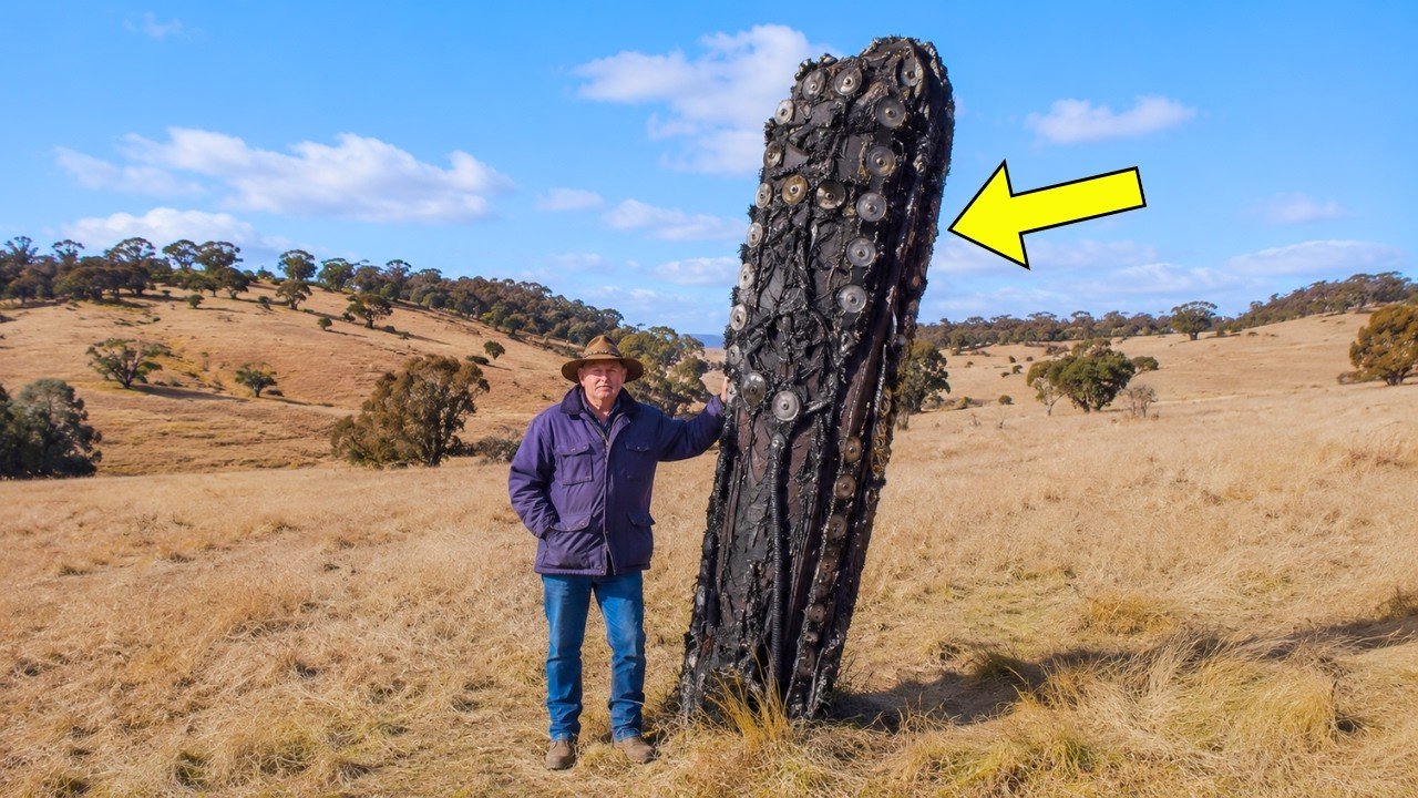 Mysterious Space Object Crashes on Sheep Farm, Farmer Turns Pale When He Realizes the Truth ➤ Главное.net