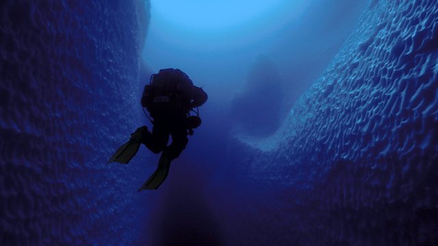 A Dark Shape Trapped Inside an Iceberg Led to an Extraordinary Discovery