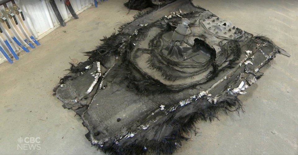 Mysterious Space Object Crashes on Sheep Farm, Farmer Turns Pale When He Realizes the Truth