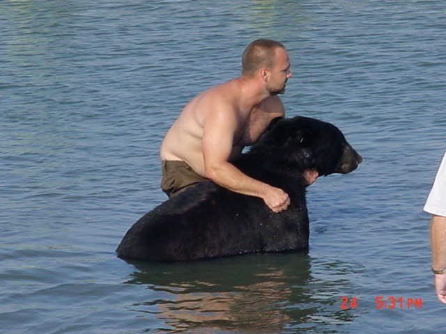 Cet ours était en train de se noyer dans l&rsquo;océan. Vous n&rsquo;allez pas croire ce que cet homme a fait.