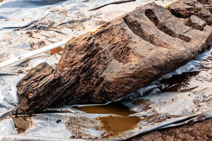 Wood Sculptor Finds a Leather Pouch Hidden Inside a Log, Opens It and Starts Crying
