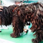 YOU WON’T BELIEVE How This Dog Looks Before Shaving All These Dreadlocks! ➤ haberion.com
