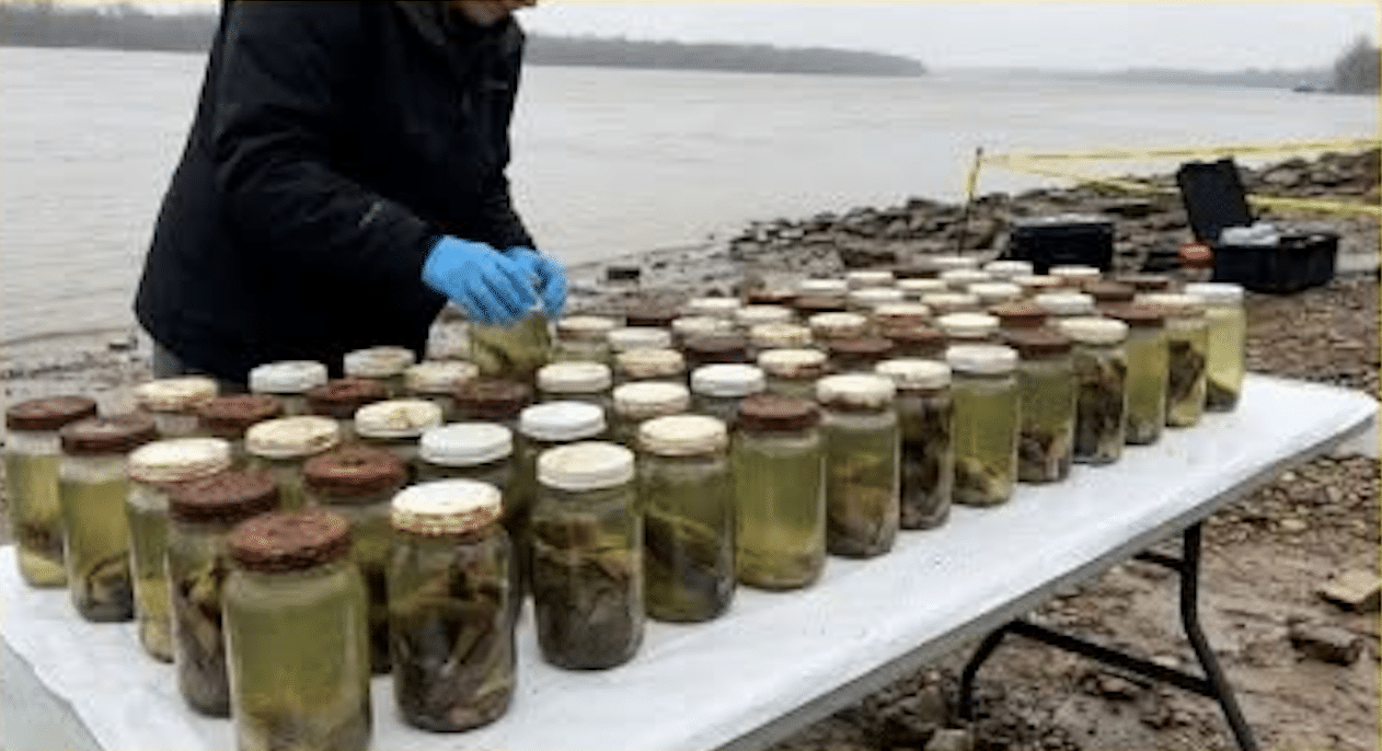 Divers Found 1970s School Lockers in Swamp, Looked Inside and Called Police!